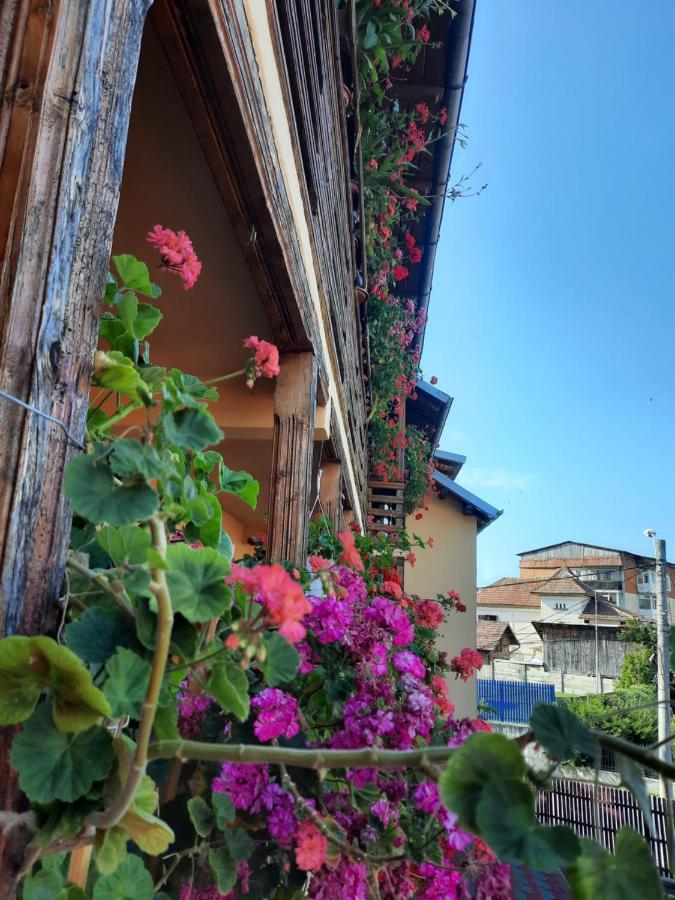 Pensiunea Cristiana Curtea de Argeş Buitenkant foto