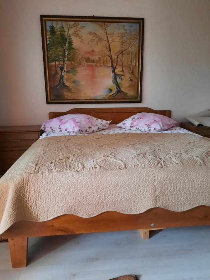 Pensiunea Cristiana Curtea de Argeş Buitenkant foto