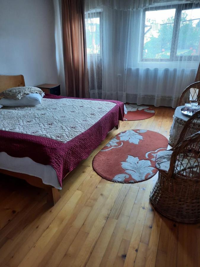 Pensiunea Cristiana Curtea de Argeş Buitenkant foto
