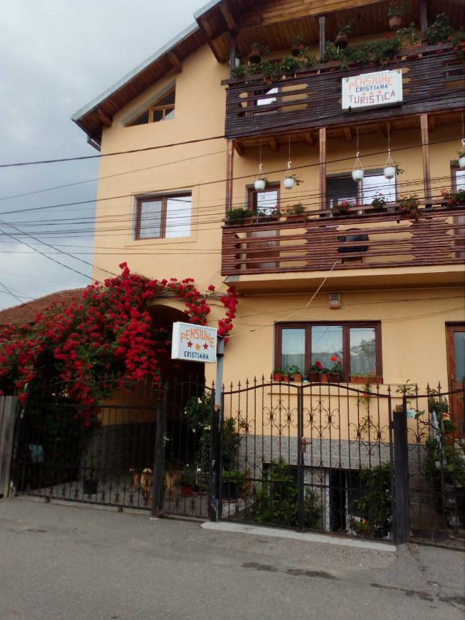 Pensiunea Cristiana Curtea de Argeş Buitenkant foto