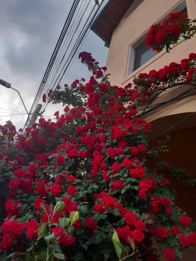 Pensiunea Cristiana Curtea de Argeş Buitenkant foto